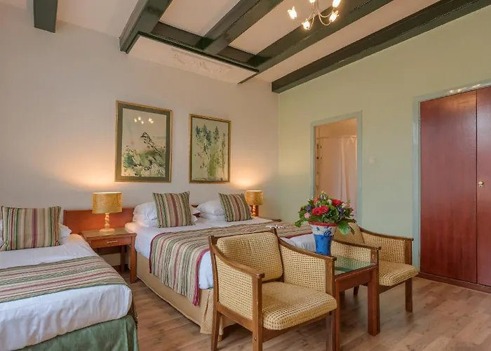 Des Arts 阿姆斯特丹